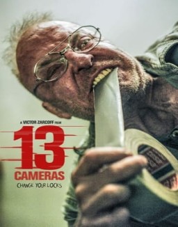 ver 13 Cámaras