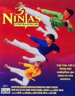 ver 3 Ninjas al rescate pelicula online