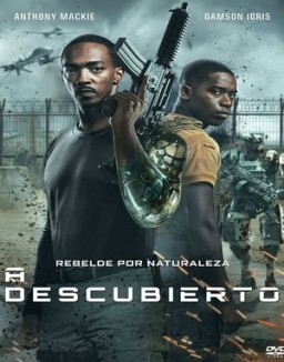 ver A descubierto pelicula online