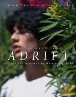 ver ADRIFT pelicula online