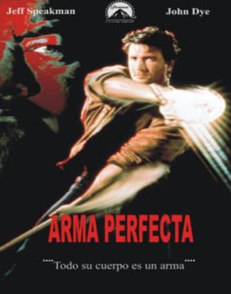 ver Arma perfecta