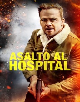 ver Asalto al hospital pelicula online