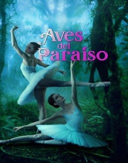 ver Aves del paraíso pelicula online