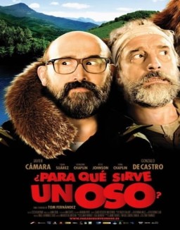 ver ¿Para qué sirve un oso?