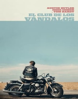 ver Bikeriders. La ley del asfalto