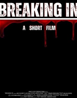 ver Breaking In pelicula online