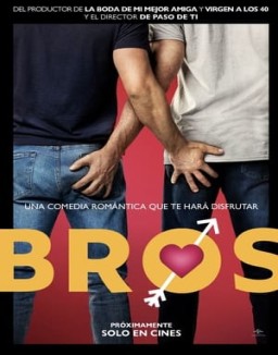 ver Bros: Más que amigos pelicula online
