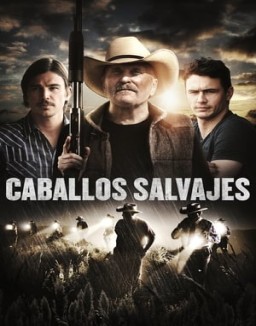 ver Caballos salvajes