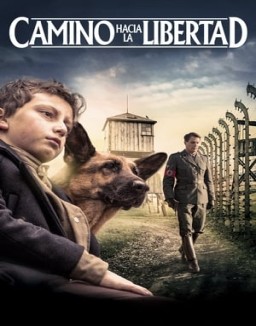 ver Camino hacia la libertad