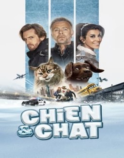 ver Chien et Chat pelicula online