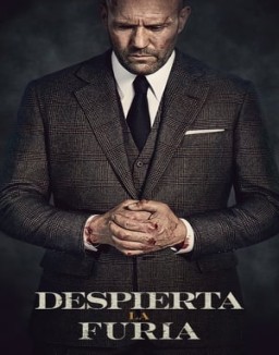ver Despierta la furia pelicula online
