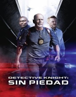 ver Detective Knight: Sin piedad