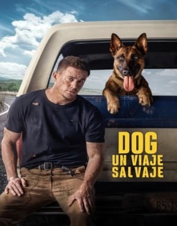 ver Dog - Un viaje salvaje pelicula online