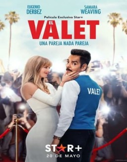 ver El aparcacoches pelicula online