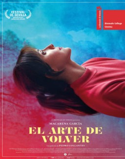 ver El arte de volver pelicula online