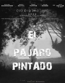 ver El pájaro pintado