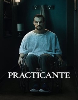 ver El practicante pelicula online