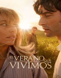 ver El verano que vivimos pelicula online