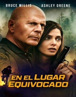 ver En el lugar equivocado pelicula online