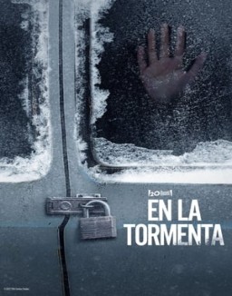ver En la tormenta pelicula online
