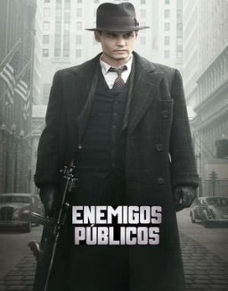 ver Enemigos públicos