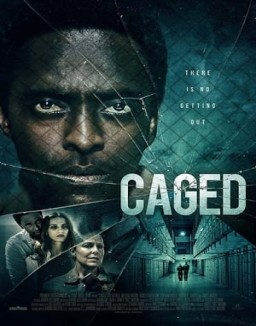 ver Enjaulado pelicula online