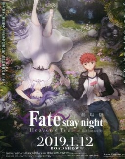 ver Fate/stay night: Heaven's Feel - II. Mariposa Perdida pelicula online