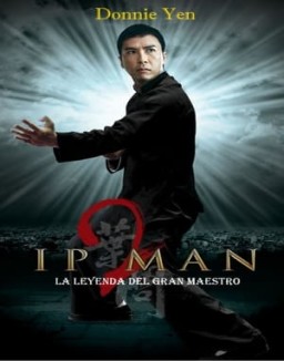 ver Ip Man 2 pelicula online