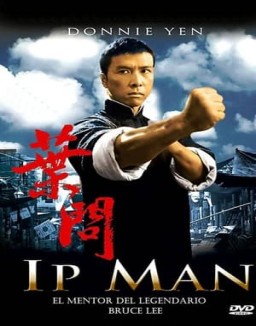 ver Ip Man pelicula online