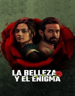 ver La belleza y el enigma