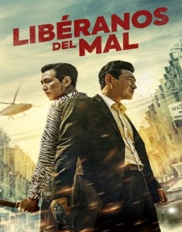 ver Libéranos del mal pelicula online