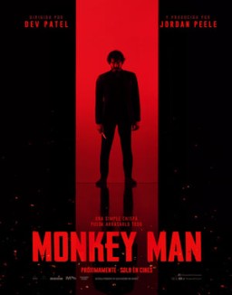 ver Monkey Man pelicula online