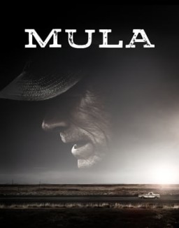 ver Mula