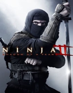 ver Ninja 2: La sombra de la muerte