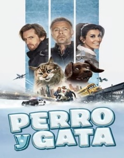 ver Perro y gata pelicula online