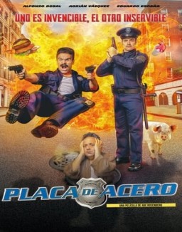 ver Placa de acero