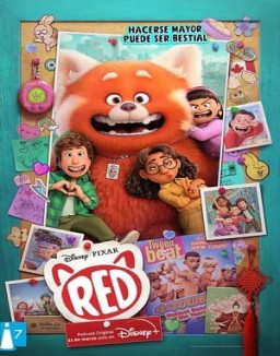 ver Red pelicula online
