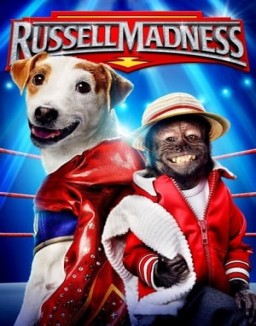 ver Russell, el perro luchador