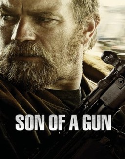 ver Son of a Gun