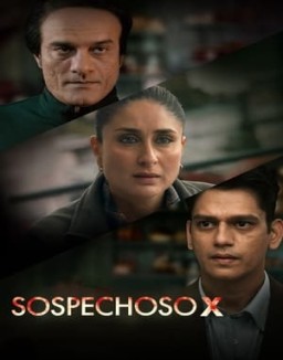 ver Sospechoso X