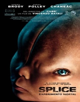 ver Splice: Experimento mortal