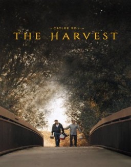 ver The Harvest pelicula online