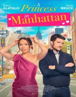 ver The Princess and the Bodyguard pelicula online