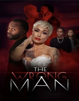 Ver The Wrong Man online gratis