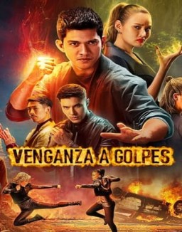 ver Venganza a golpes pelicula online