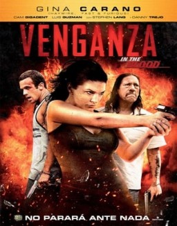 ver Venganza (In the Blood)
