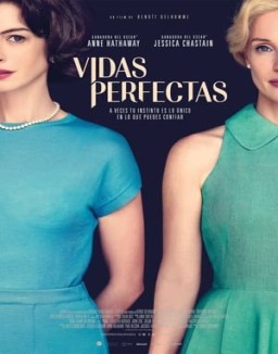 ver Vidas perfectas pelicula online