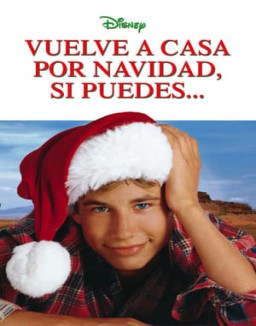 ver Vuelve a casa por Navidad, si puedes...