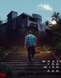 ver What You Wish For pelicula online