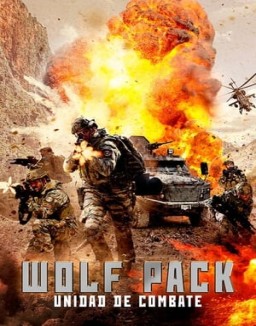 ver Wolfpack Unidad de Combate